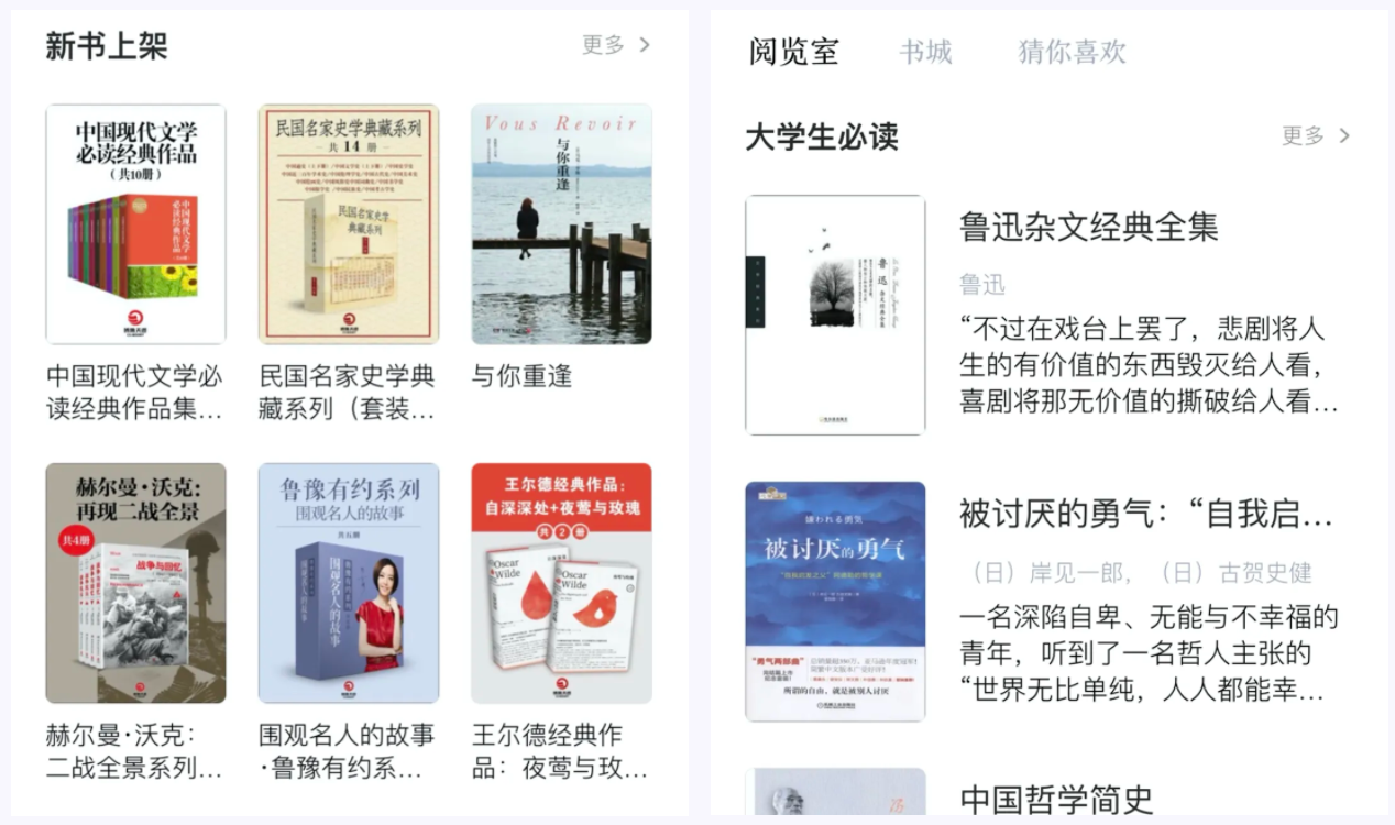 中文电子书平台-主题书籍界面