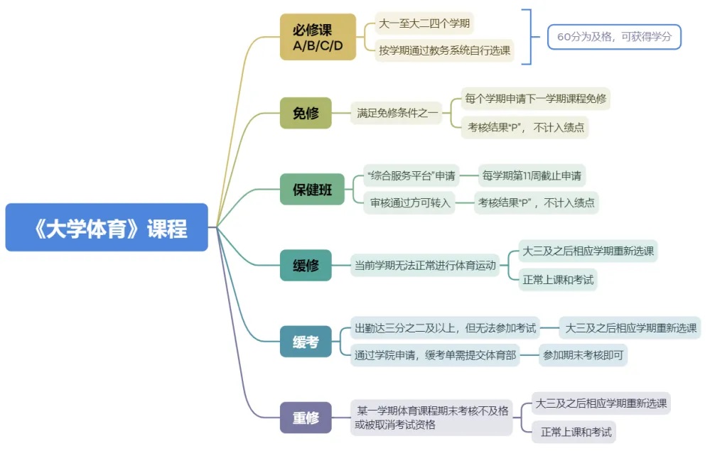 大学体育课程-流程图.jpg