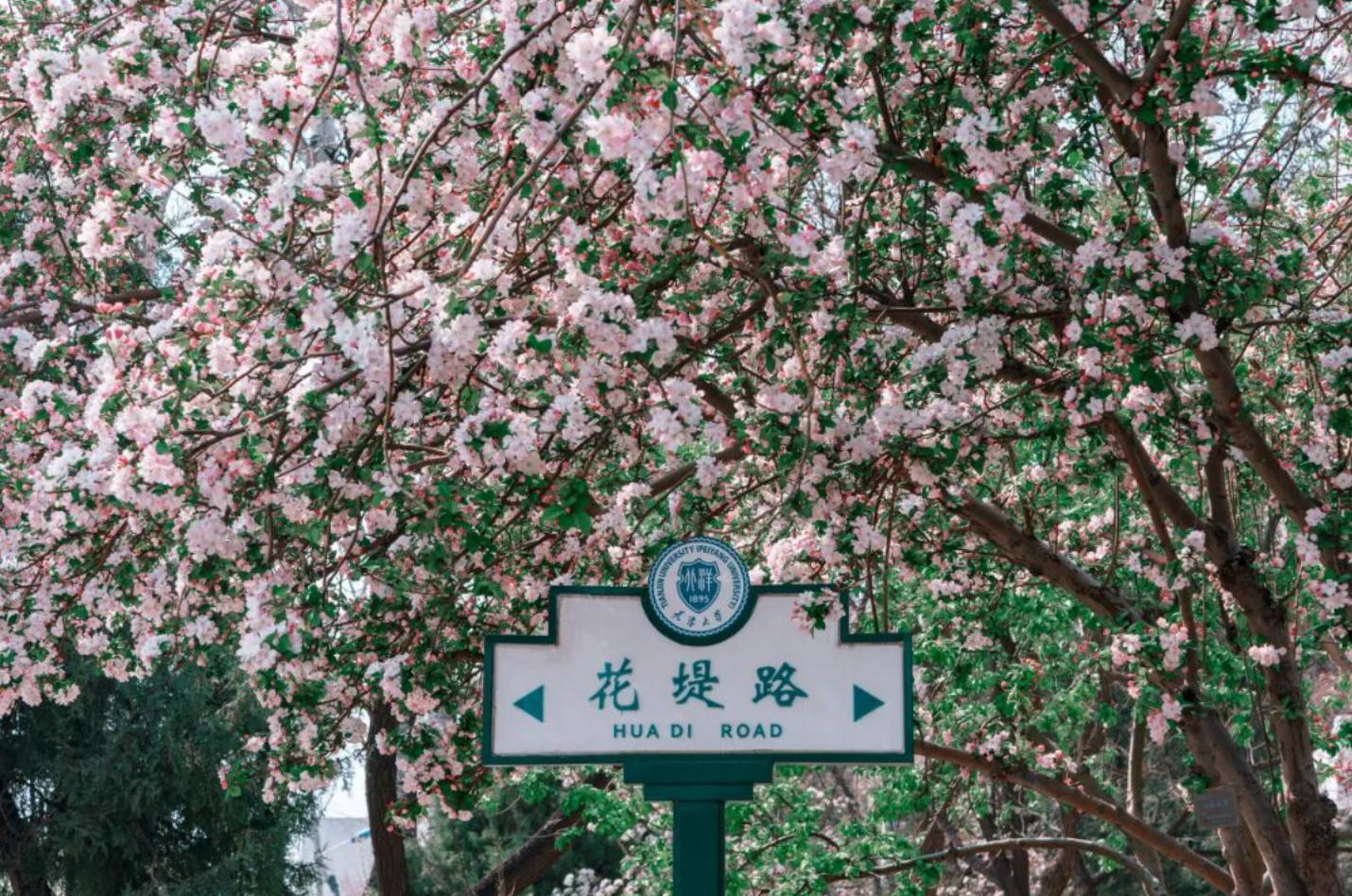 QQ20260805-222654.png